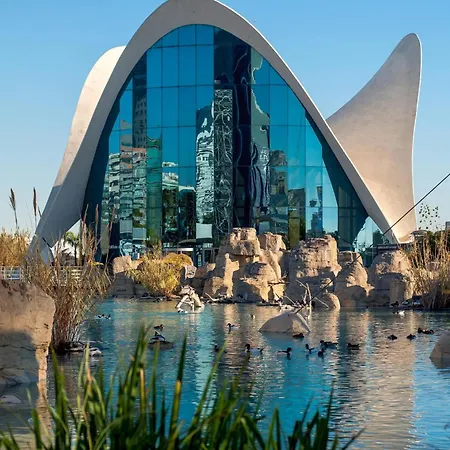 Ciudad De Artes Y Ciencias 아파트호텔