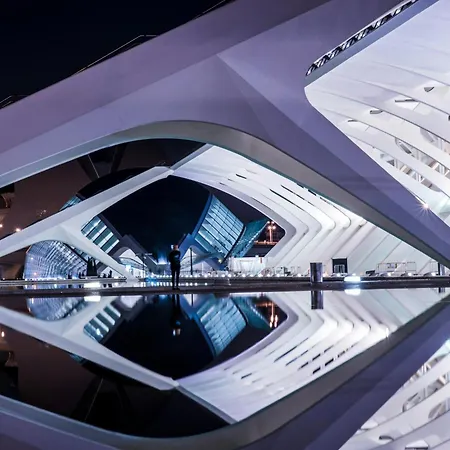 Ciudad De Artes Y Ciencias 발렌시아